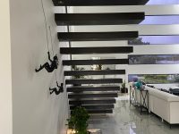 IMG_8254